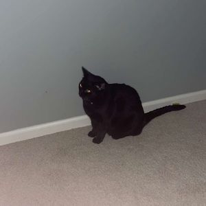 Meet your Posher, Josh